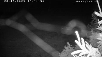 Snímek    28.10.2025 v 18:15