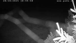 Ski klub Velké Meziříčí - Fajtův kopec - Sjezdovka - 28.10.2025 v 18:45 Ski klub Velké Meziříčí - Fajtův kopec - Sjezdovka - 28.10.2025 v 18:45