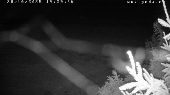 Snímek    28.10.2025 v 19:30