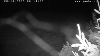 Snímek    28.10.2025 v 20:15