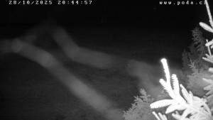 Ski klub Velké Meziříčí - Fajtův kopec - Sjezdovka - 28.10.2025 v 20:45 Ski klub Velké Meziříčí - Fajtův kopec - Sjezdovka - 28.10.2025 v 20:45