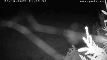 Snímek    28.10.2025 v 21:30