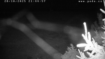 Snímek    28.10.2025 v 21:45