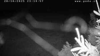 Snímek    28.10.2025 v 23:15