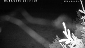 Ski klub Velké Meziříčí - Fajtův kopec - Sjezdovka - 28.10.2025 v 23:45 Ski klub Velké Meziříčí - Fajtův kopec - Sjezdovka - 28.10.2025 v 23:45