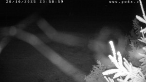 Ski klub Velké Meziříčí - Fajtův kopec - Sjezdovka - 29.10.2025 v 00:00 Ski klub Velké Meziříčí - Fajtův kopec - Sjezdovka - 29.10.2025 v 00:00