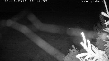 Snímek    29.10.2025 v 00:15