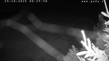 Snímek    29.10.2025 v 00:30