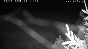 Snímek    29.10.2025 v 00:45