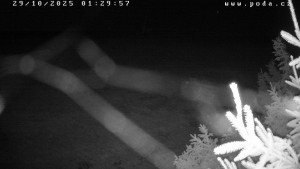 Ski klub Velké Meziříčí - Fajtův kopec - Sjezdovka - 29.10.2025 v 01:30 Ski klub Velké Meziříčí - Fajtův kopec - Sjezdovka - 29.10.2025 v 01:30