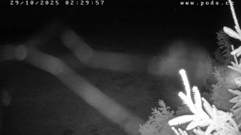 Snímek    29.10.2025 v 02:30