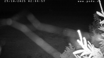 Snímek    29.10.2025 v 02:45