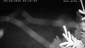 Ski klub Velké Meziříčí - Fajtův kopec - Sjezdovka - 29.10.2025 v 03:15 Ski klub Velké Meziříčí - Fajtův kopec - Sjezdovka - 29.10.2025 v 03:15