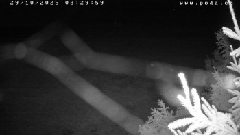 Snímek    29.10.2025 v 03:30