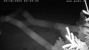 Ski klub Velké Meziříčí - Fajtův kopec - Sjezdovka - 29.10.2025 v 03:45 Ski klub Velké Meziříčí - Fajtův kopec - Sjezdovka - 29.10.2025 v 03:45