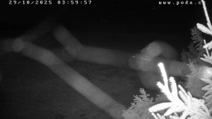 Ski klub Velké Meziříčí - Fajtův kopec - Sjezdovka - 29.10.2025 v 04:00 Ski klub Velké Meziříčí - Fajtův kopec - Sjezdovka - 29.10.2025 v 04:00