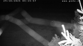 Snímek    29.10.2025 v 04:15