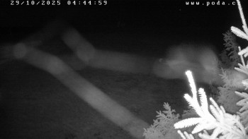 Snímek    29.10.2025 v 04:45