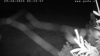 Snímek    29.10.2025 v 05:15