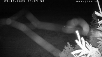 Snímek    29.10.2025 v 05:30