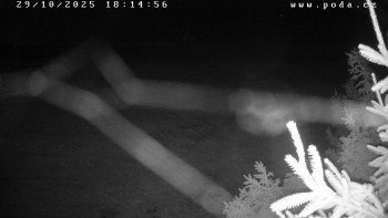 Snímek    29.10.2025 v 18:15