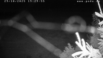 Snímek    29.10.2025 v 19:30