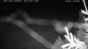 Ski klub Velké Meziříčí - Fajtův kopec - Sjezdovka - 29.10.2025 v 20:45 Ski klub Velké Meziříčí - Fajtův kopec - Sjezdovka - 29.10.2025 v 20:45