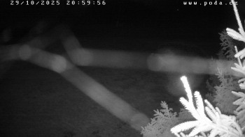 Snímek    29.10.2025 v 21:00