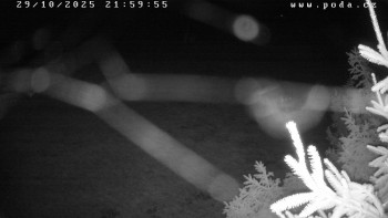 Snímek    29.10.2025 v 22:00