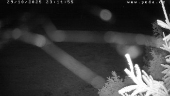 Snímek    29.10.2025 v 23:15