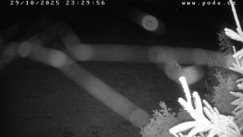 Snímek    29.10.2025 v 23:30