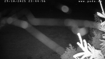 Snímek    29.10.2025 v 23:45