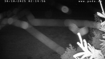 Snímek    30.10.2025 v 02:15