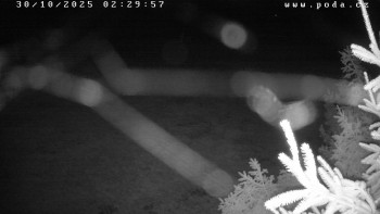 Snímek    30.10.2025 v 02:30