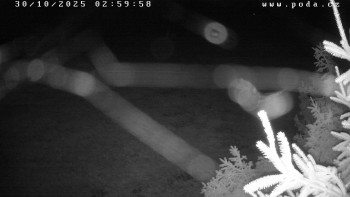 Snímek    30.10.2025 v 03:00