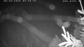 Snímek    30.10.2025 v 04:45