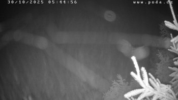 Snímek    30.10.2025 v 05:45