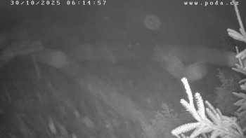 Snímek    30.10.2025 v 06:15