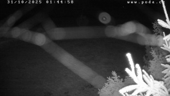 Snímek    31.10.2025 v 01:45