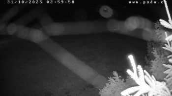 Snímek    31.10.2025 v 03:00