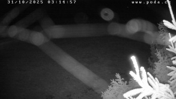 Snímek    31.10.2025 v 03:15
