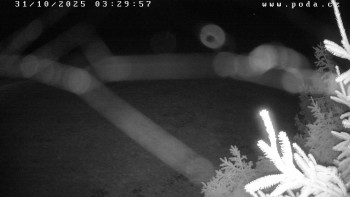 Snímek    31.10.2025 v 03:30
