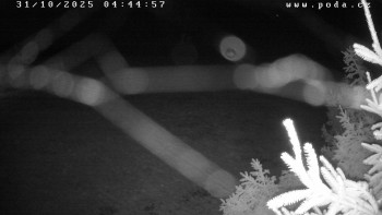 Snímek    31.10.2025 v 04:45