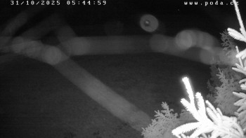 Snímek    31.10.2025 v 05:45