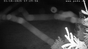 Snímek    31.10.2025 v 17:30