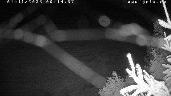 Snímek    1.11.2025 v 00:15