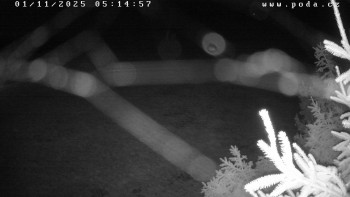 Snímek    1.11.2025 v 05:15