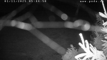 Snímek    1.11.2025 v 05:45