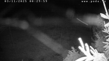 Snímek    3.11.2025 v 00:30