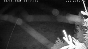 Snímek    3.11.2025 v 00:45